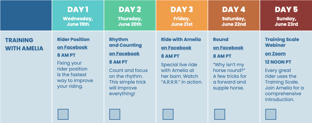 dressage lesson plan and schedule with Amelia